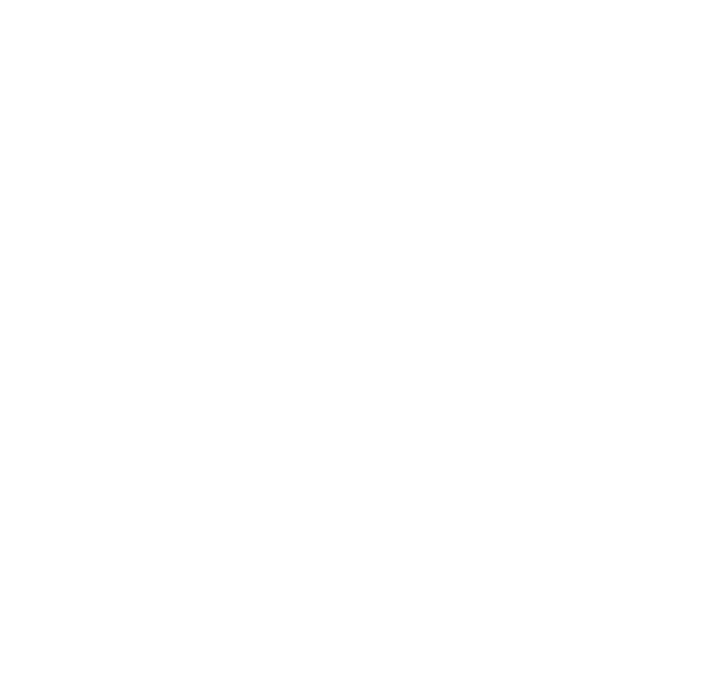 logo-payji-blanco