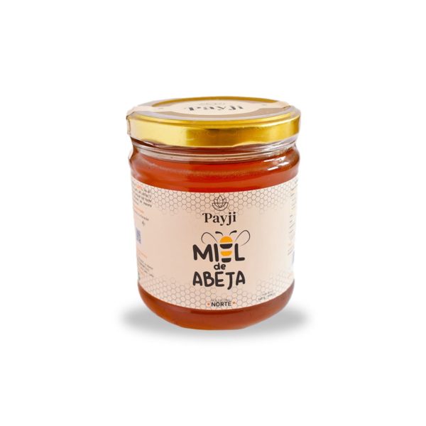 Miel de abeja payji norte multifloral x 540g